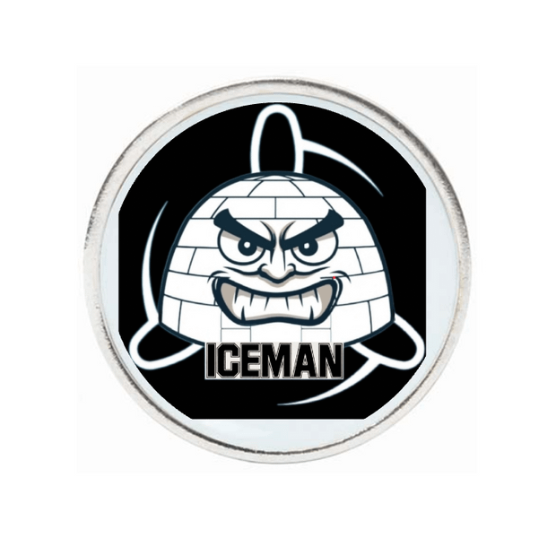 10 Pack Silver Ball Markers