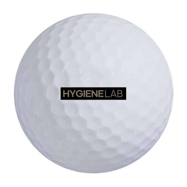 Bridgestone e6 Golf Balls