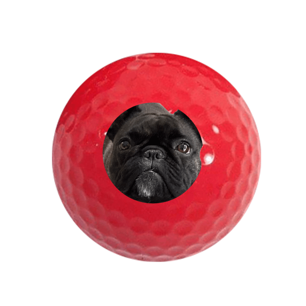 Value Golf Balls Red