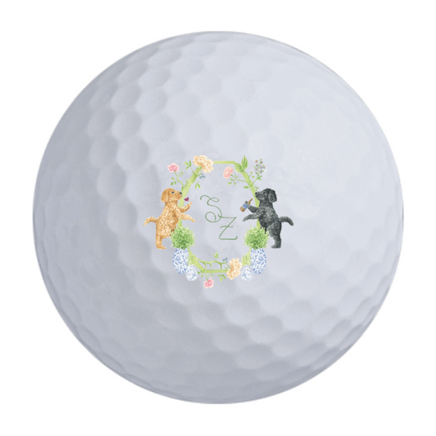 Precept Power Drive Golf Balls
