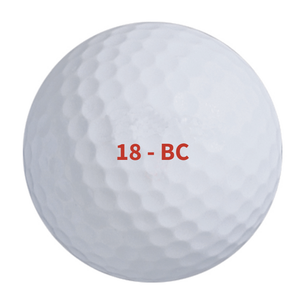 Bridgestone e6 Golf Balls