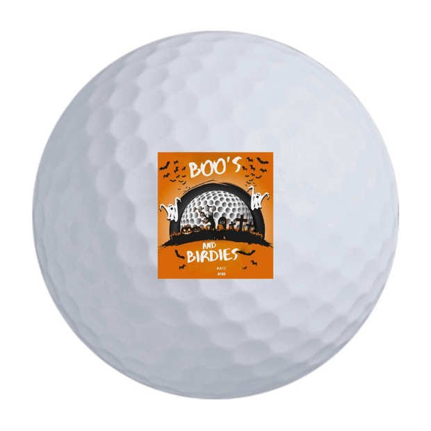 Bridgestone e6 Golf Balls