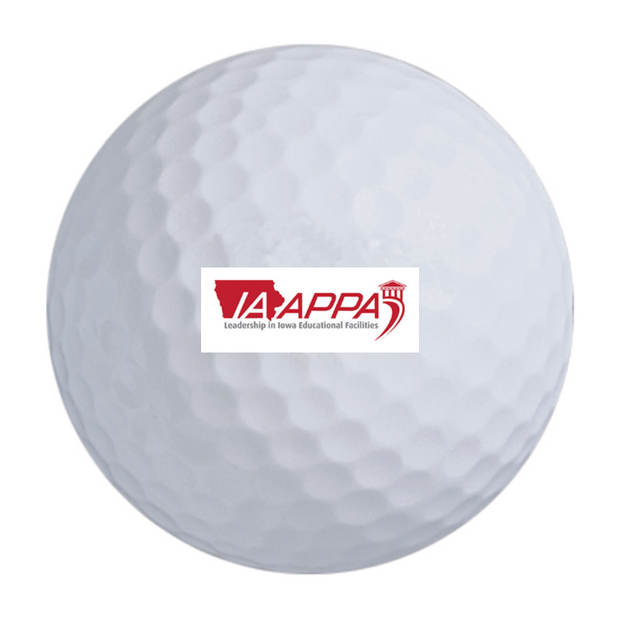 Bridgestone e6 Golf Balls