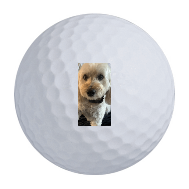 Callaway Warbird Golf Balls - 2 For $35