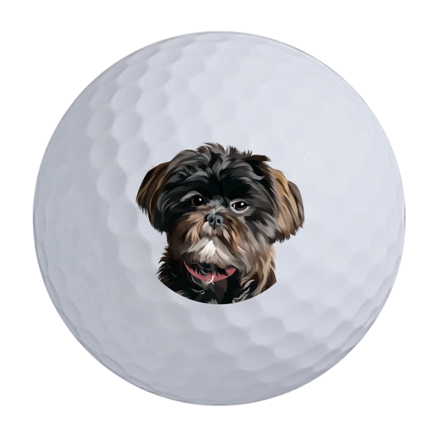 Vice Pro Air Golf Balls