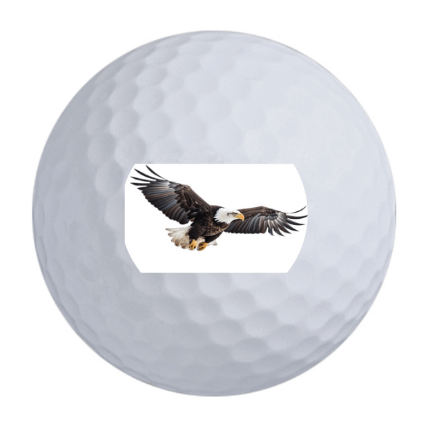 Bridgestone e6 Golf Balls