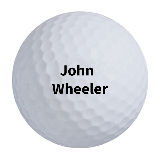 Titleist Pro V1 Golf Balls