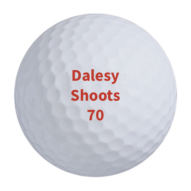 Titleist Pro V1 Golf Balls One Dozen