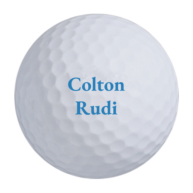 Precept Power Drive Golf Balls