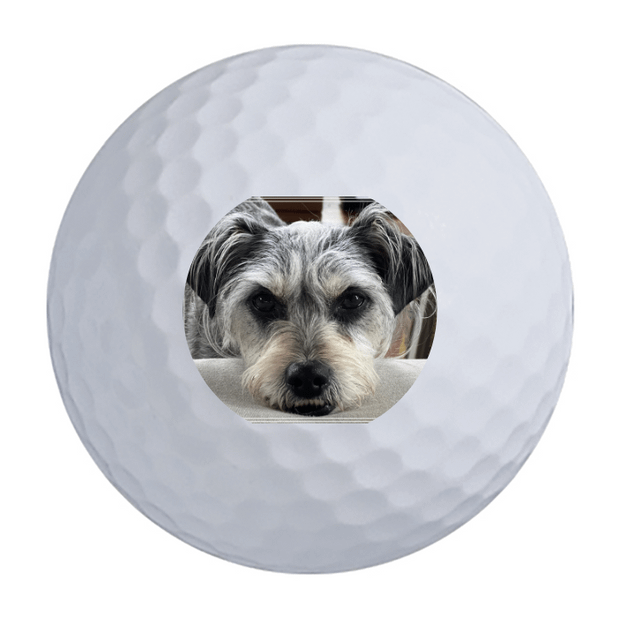 Titleist Pro V1 Golf Balls
