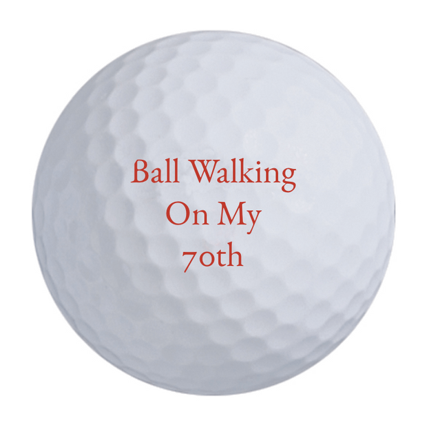 Titleist Pro V1x Golf Balls