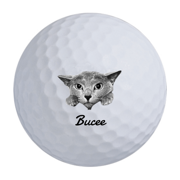 TaylorMade Distance + Golf Balls