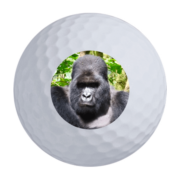 Srixon Q-Star Ultispeed Golf Balls