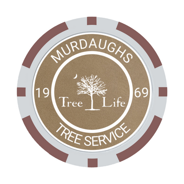 30 Poker Chips in Tube