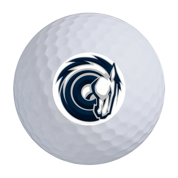 Titleist Pro V1 Golf Balls