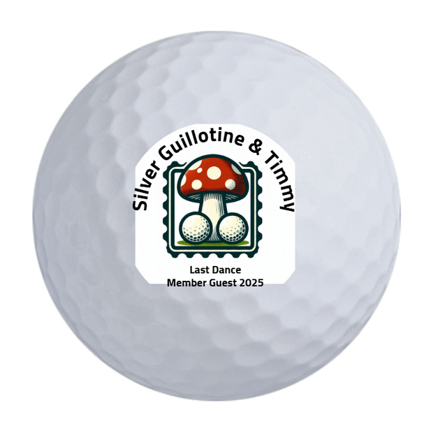 Bridgestone Tour B X Golf Balls Trifecta Pack