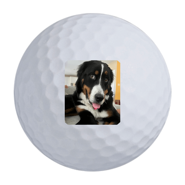 Custom Callaway Warbird Golf Balls One Dozen