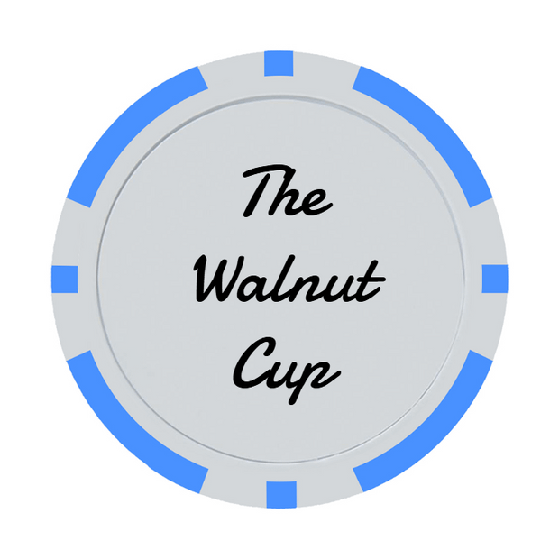 30 Poker Chips in Tube