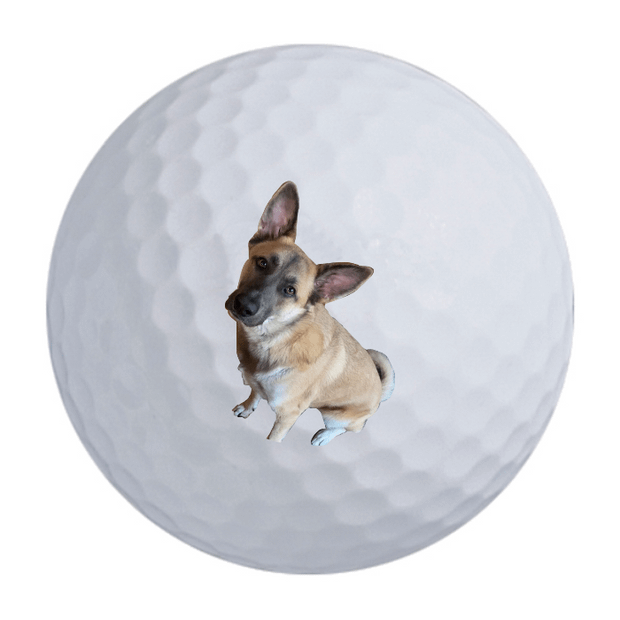 Custom Callaway Warbird Golf Balls One Dozen