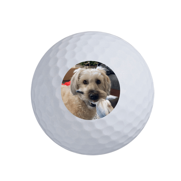 Value Golf Balls White