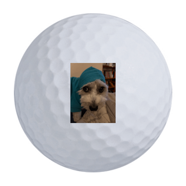 Custom Callaway Warbird Golf Balls One Dozen