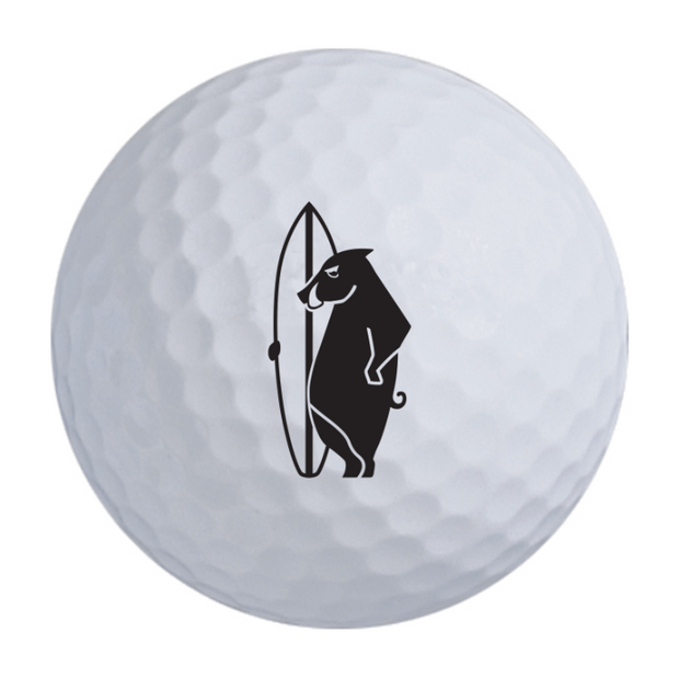 Titleist Pro V1 Golf Balls One Dozen