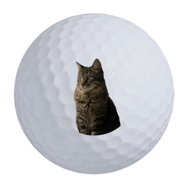 TaylorMade Distance + Golf Balls