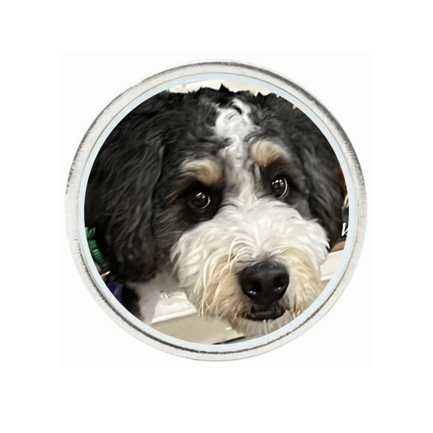 10 Pack Silver Ball Markers