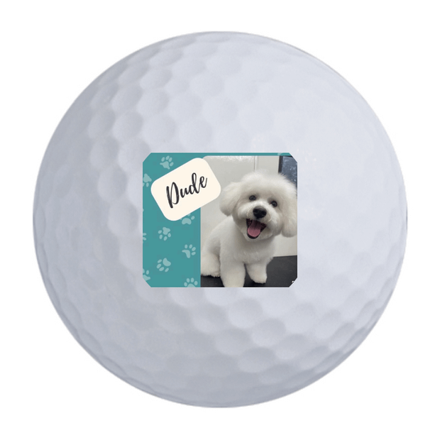 Custom Bridgestone e6 Golf Balls One Dozen