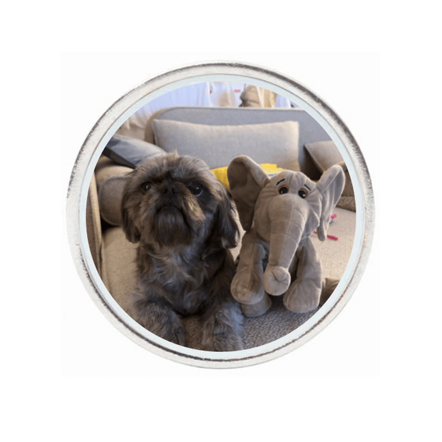 10 Pack Silver Ball Markers