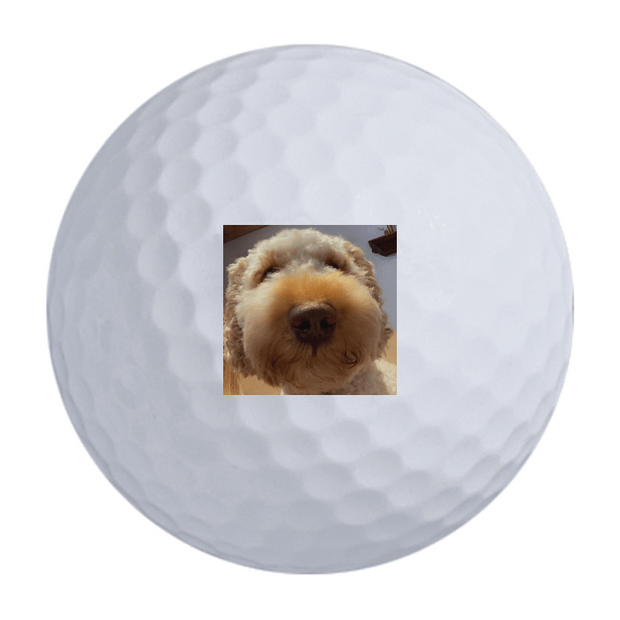 Titleist Pro V1x Golf Balls