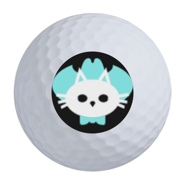 Noodle Long and Soft Golf Balls - 24 Ball Pack