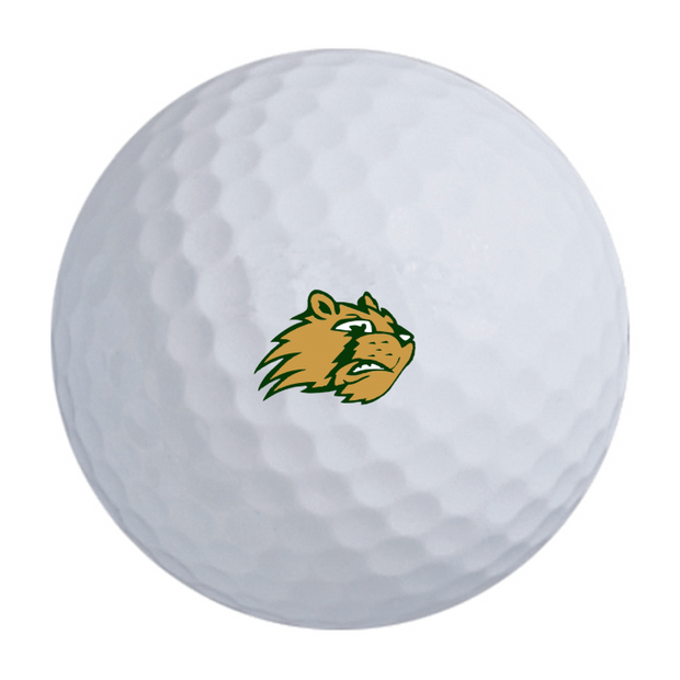 TaylorMade TP5 Golf Balls