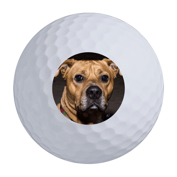 Titleist Pro V1 Golf Balls