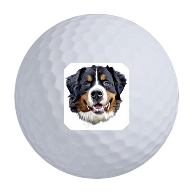 TaylorMade SpeedSoft Golf Balls