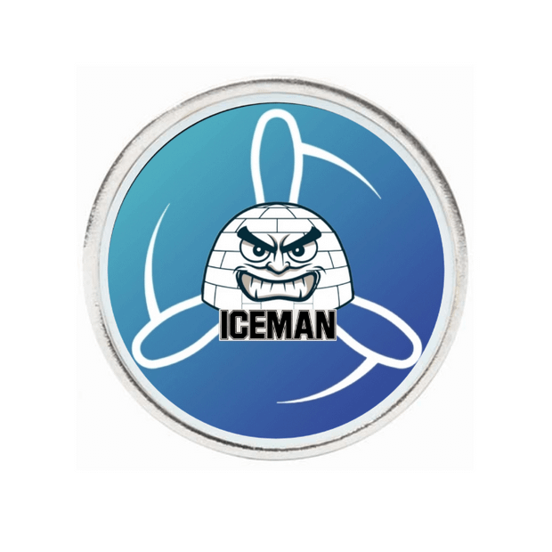 10 Pack Silver Ball Markers