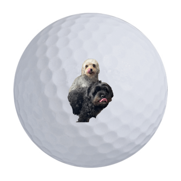 Titleist Pro V1 Golf Balls