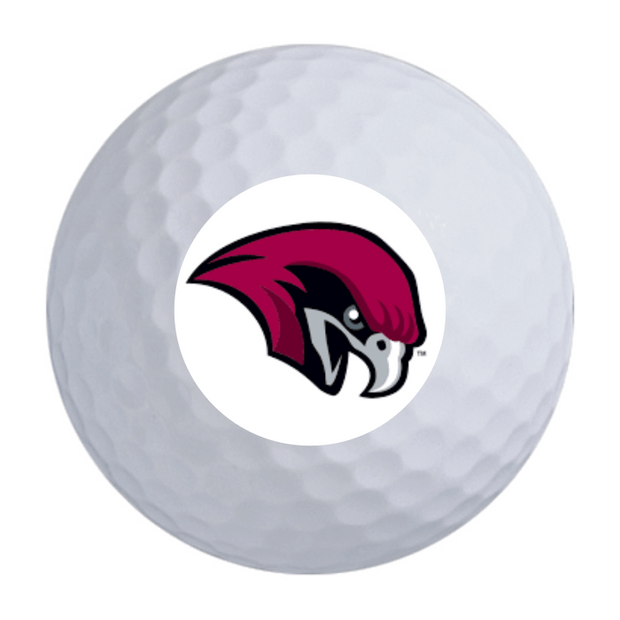 Wilson Ultra Distance Golf Balls