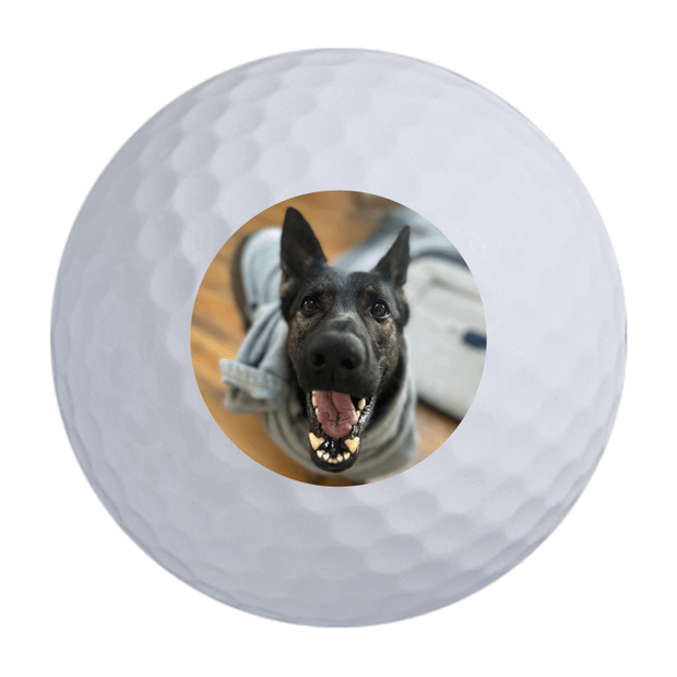 Bridgestone e6 Golf Balls