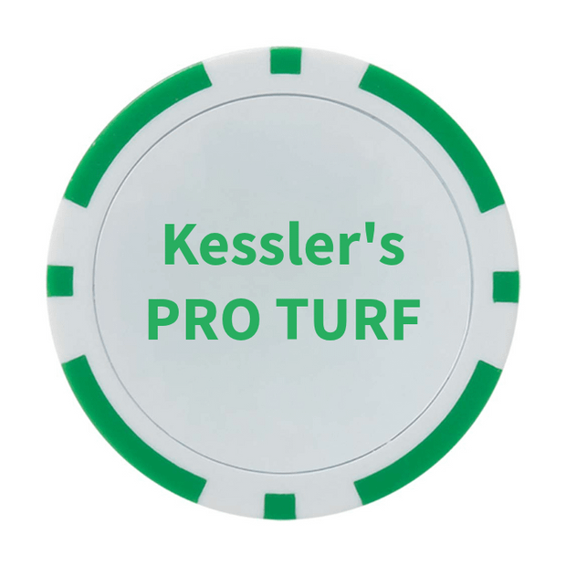 30 Poker Chips in Tube