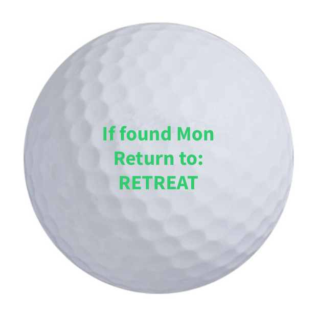 TaylorMade Distance + Golf Balls (Prior Gen) 2 For $32.99