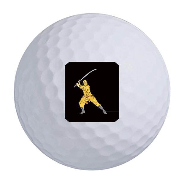 Titleist Pro V1 Golf Balls