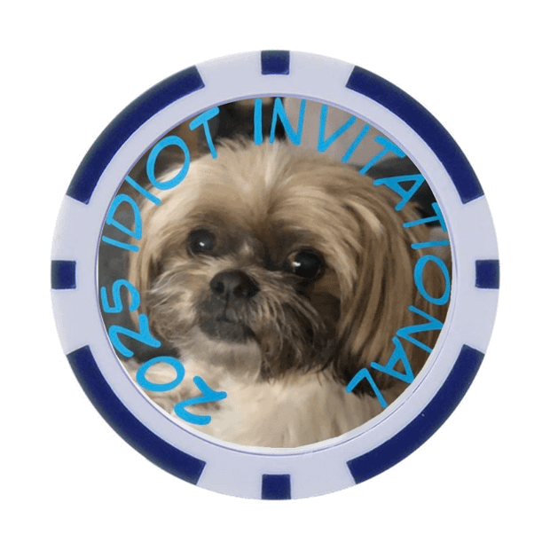 30 Poker Chips in Tube