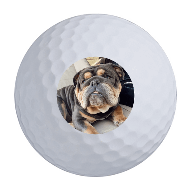 Titleist Pro V1x Golf Balls