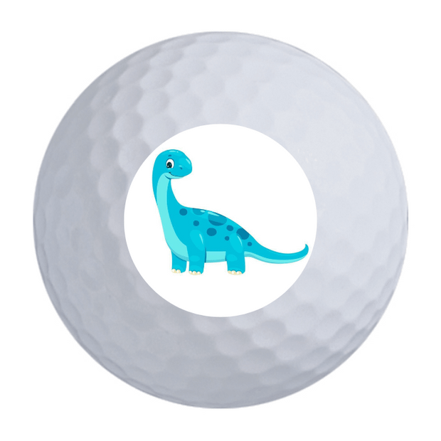 Nitro Maximum Distance Golf Balls