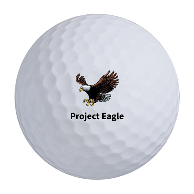 Titleist Pro V1 Golf Balls