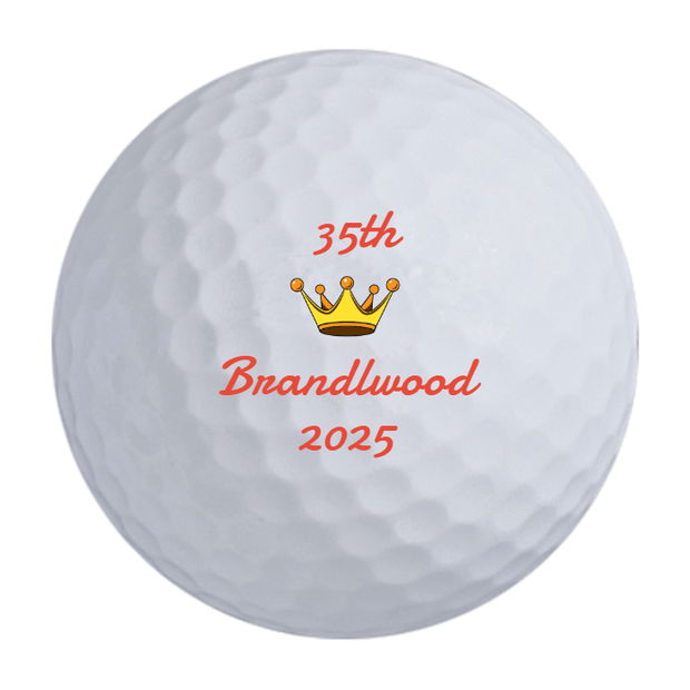 Bridgestone e6 Golf Balls