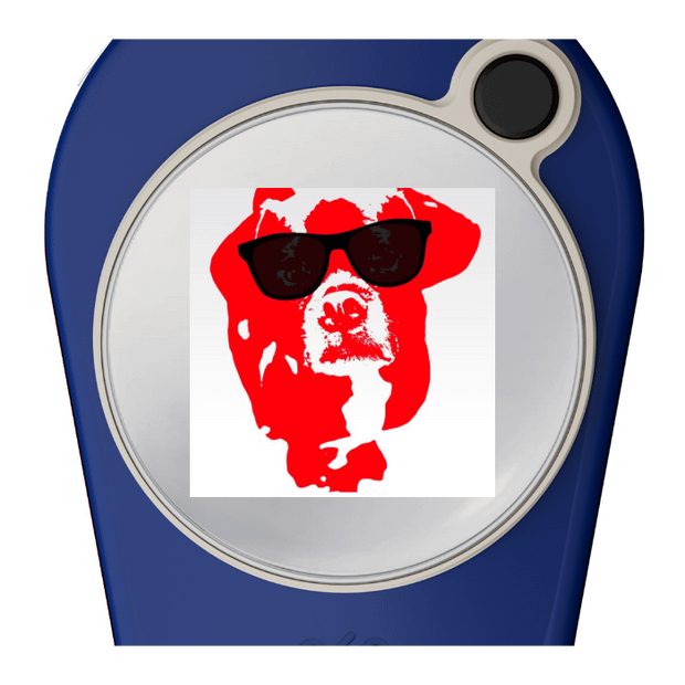 Pitchfix Original Divot Tool with Custom Ball Marker (Blue)