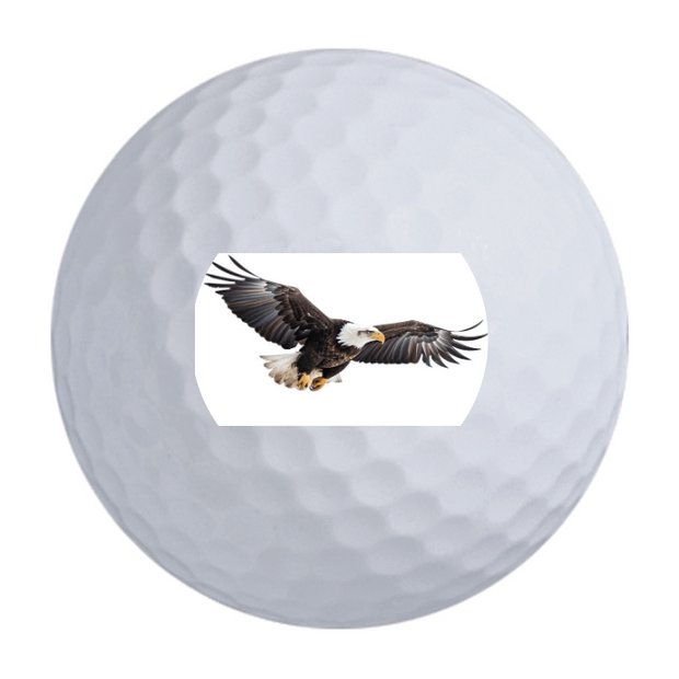 Bridgestone e6 Golf Balls