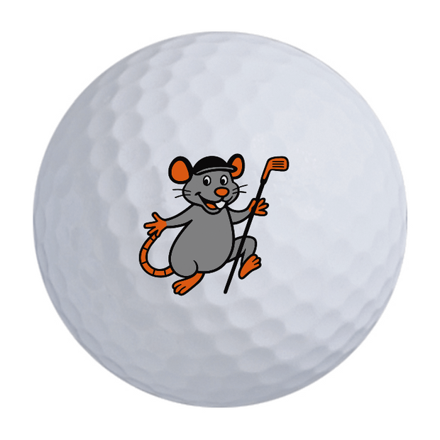Bridgestone e6 Golf Balls